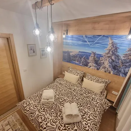 Vila Jahor Kristina Lux A1 Apartment *